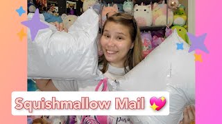 Buying Some ISO Squishmallows | Owl and Goose Gifts & American Eagle