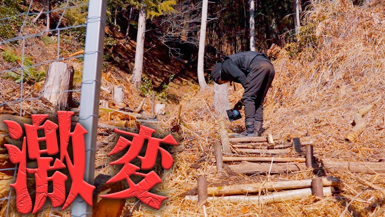 【感動】山の斜面に階段を作ったら… #723