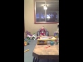 Jake Watching Elmo