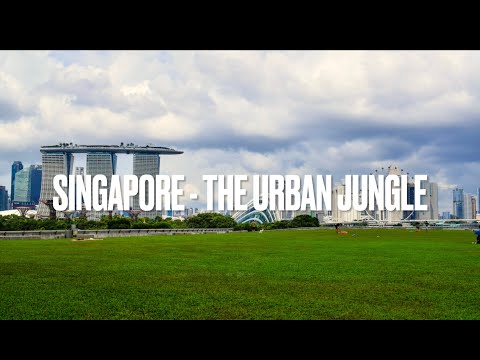 Singapore - The Urban Jungle | Travel Vlog | Dec 2023
