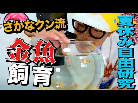 , title : '【夏休み企画】初心者必見！さかなクンが教える金魚の飼い方！'