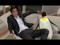 A Funny And Cute Penguin Loose In The House Zach King