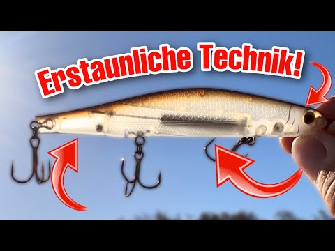 DAS ist der PERFEKTE Köder für ALLES! Better Fishing Box April