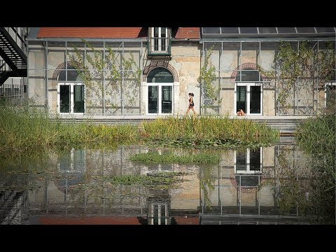 download lagu mp3 mp4 Location Appartement Parc Martin Luther King, download lagu Location Appartement Parc Martin Luther King gratis, unduh video klip Location Appartement Parc Martin Luther King