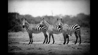 In The Beginning - Magnum In Motion.flv