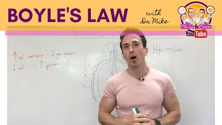 Mechanism of Breathing, Animation | Pearson+ Channels Mechanism of Breathing, Animation | Pearson+ Channels