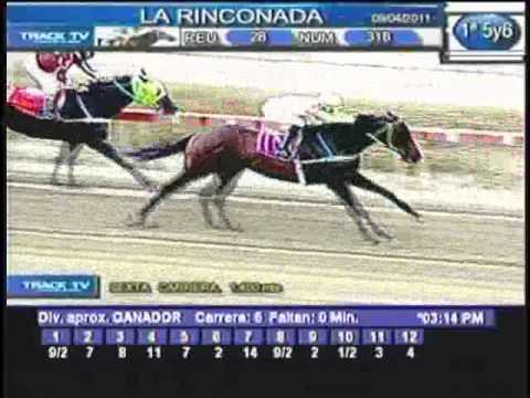 Sábado, 09 de Abril de 2011 - La Rinconada