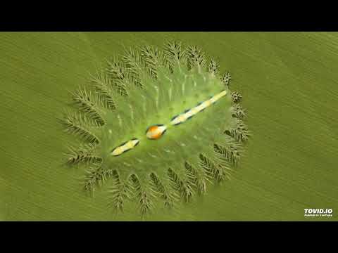 Nytron, Sugar Hill - F.E.V.E.R (Original Mix)