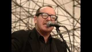 Elvis Costello - Pads, Paws And Claws/Mystery Dance - 7/25/1999 - Woodstock 99 East Stage (Official)
