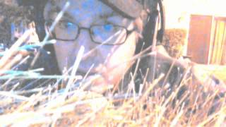 "The Good Humor Man He Sees Everything Like This", a Love cover by Matt Brown