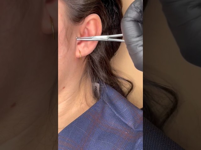 Vídeo relacionado con YADOCA 30 Pcs 16G Acero Inoxidable Herradura Septum Piercing Nariz Piercing Joyería Ceja Labio Anillos Aro Cartílago Helix Tragus Pendiente para Mujeres Hombres 8MM 10MM