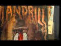 mandrill-chutney