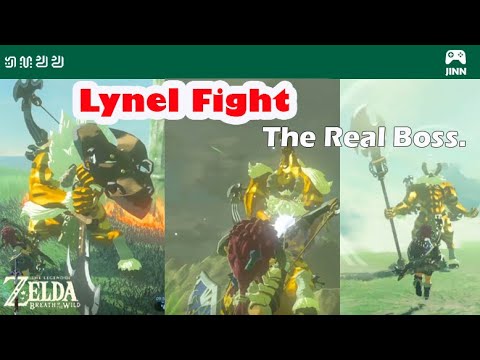[Zelda BOTW]  : GOLD LYNEL FIGHT NO DAMAGE