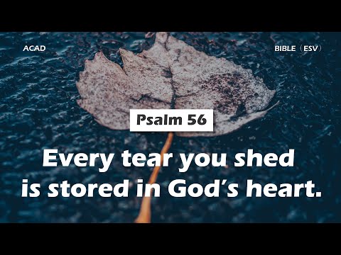 【 Psalm 56 】Every tear you shed is stored in God’s heart. ｜ACAD Bible Reading
