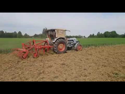 Eicher Mammut mit Fortschritt B365