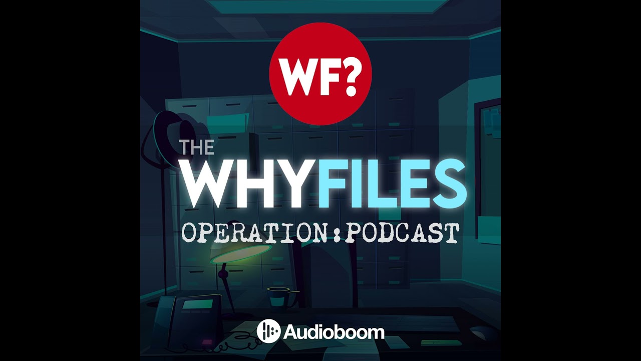 539: COMPILATION: Weird and Bizarre Stories from the archives!