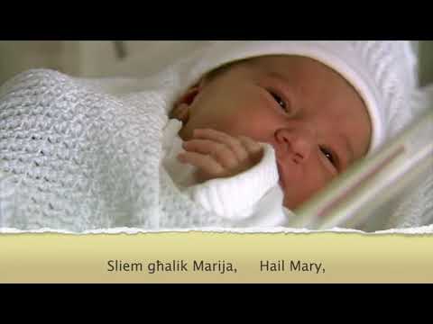 Learn how to pray in Maltese. Sliem ghalik Maria, Bil-grazzja mimlija,     Hail Mary full of grace!