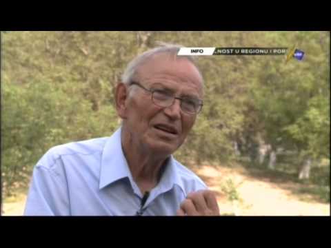 Africka sljiva je samo reklama a orasi dizu atmosferu tvdi poljoprivrednik od 76 godina