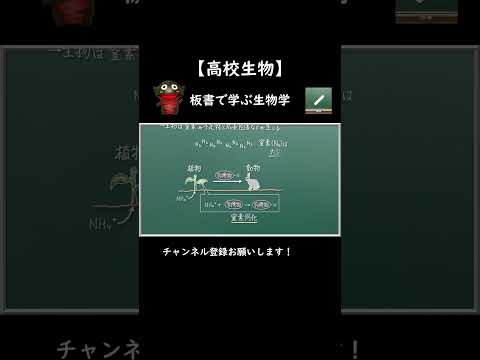 生物学的窒素固定について詳しく解説