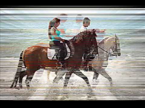 EXCURSIÓ A LA PLATJA AMB ELS CAVALLS 4 6 2014