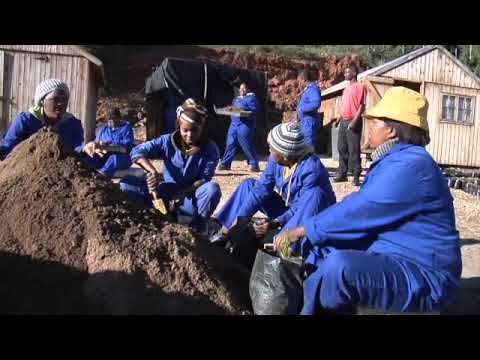 John D  Liu Compression   SD 480p