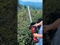 Powerful Electric Hedge Trimmer #HedgeTrimmer #shortsfeed  #diytools