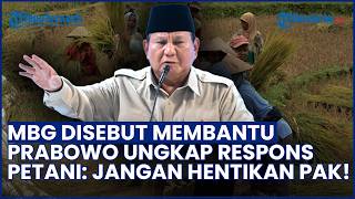 Temui Rakyat Kecil, Presiden Prabowo Mengaku Pernah Dicegat Petani yang Minta Program MBG Lanjut