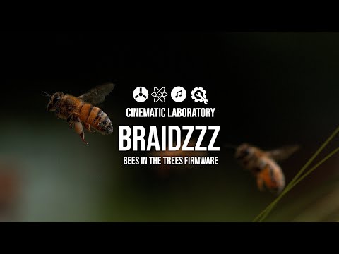 Braidzzz | w. Bees in the Trees firmware