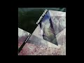 Neotropic - La Prochaine Fois