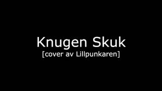 Knugen Skuk - Kriminella Gitarrer [cover av Lillpunkaren]