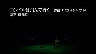「コンドルは飛んで行く」 二胡:劉福君 シンセサイザー:安部潤 ベース:熊谷望 パーカーション:中村美紀子