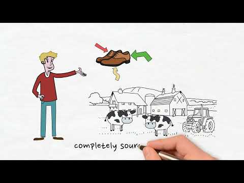 Johannes Quodt on making the first regenerative and biodegradable ...