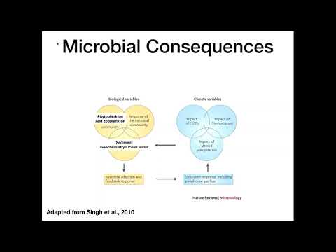 2018 04 19 11 01 Changing Coastal Oceans Lecture 21