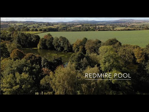 Redmire Pool - September 2022
