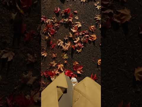 The Women’s Playbook: Rewriting the Rules of Business