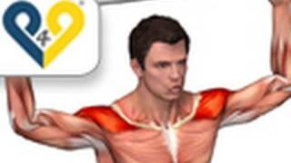 Cuban rotation exercise video thumbnail