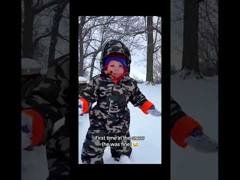 The Most Hilariously Cute Dog#funnydogs#cute#doglover#FunnyCuteDog#AdorablePuppy#FunnyCuteDog