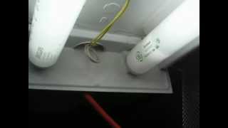 T12 bulbs running on T8 Ballast by mistake