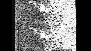 The Wake - Plastic Flowers (Audio)