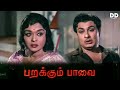 Parakkum Paavai - Tamil Movie | MGR | Jayalalitha | Nambiar #ddcinemas #ddmovies