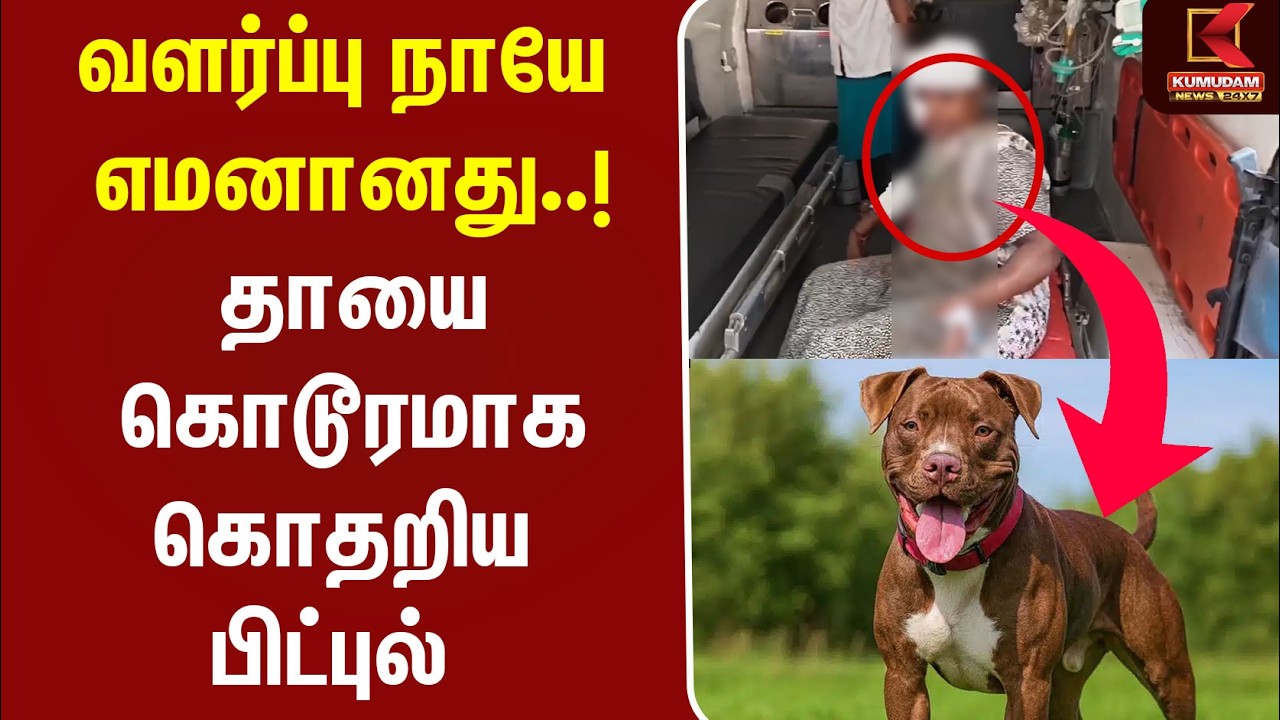 வளர்ப்பு நாயே எமனானது! தாயை கொடூரமாக கொதறிய Pitbull | Dog Attack | Namakkal | Rasipuram | Pet Dog
