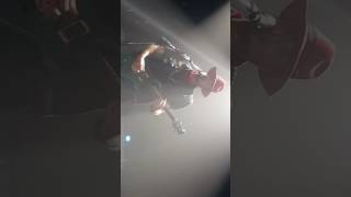 El árbol bajo el agua