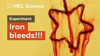 "BLEEDING IRON" experiment (How to make iron bleed without wounds)