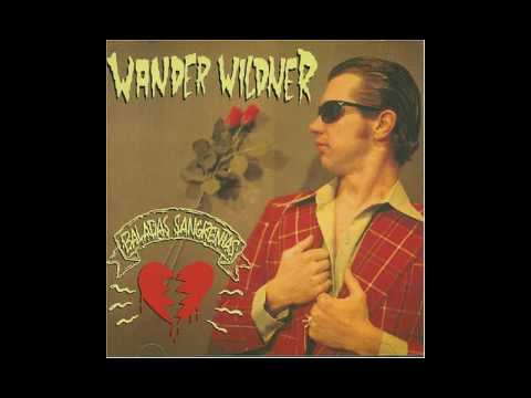 Bebendo Vinho - Wander Wildner