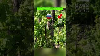 No Escape: Ukrainian Drone Detects Russian Soldier Outside Bunker.
