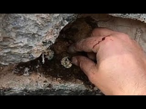 Define Kasası Kaya Altına Gizli İçinden Altın Çıktı !!!