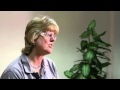 Video: Introduction to Dreama Video: Introduction to Dreama