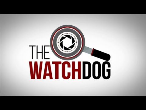 The Watchdog I 22 April 2022