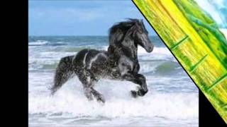 EL ADIOS ALA VIDA VICENTE FERNANDEZ