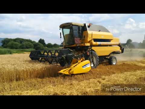 Žatva pšenice 2019